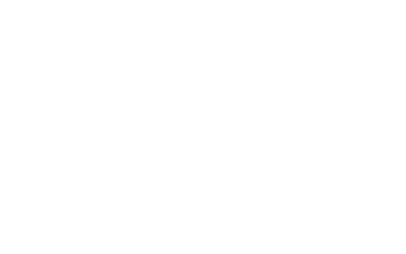 brisarddampierre-logo.2png